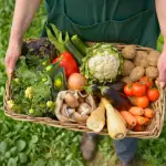 Organic Food অর্গানিক খাদ্য