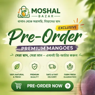 Newest Preorder Products